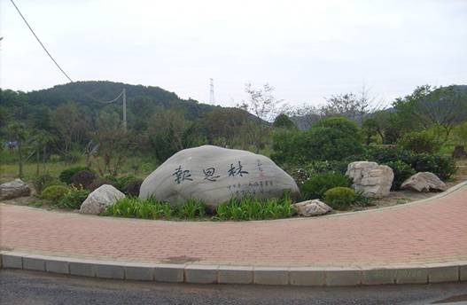 报恩林施工后4.jpg