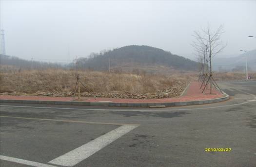 报恩林施工前2.JPG