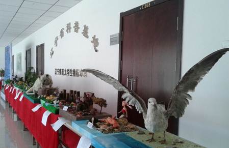 QQ图片20140922123528.jpg